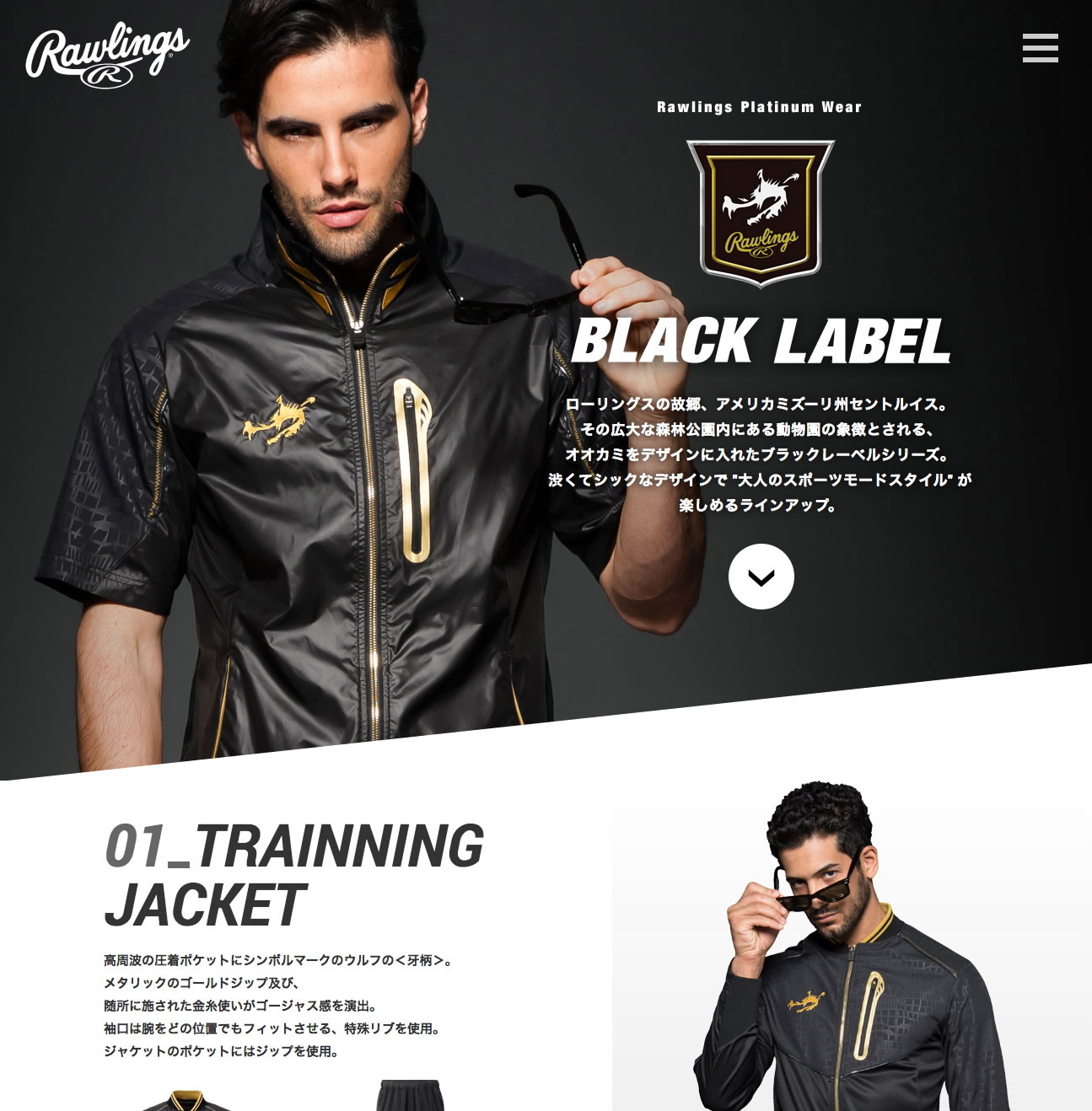 Rawlings BLACK LABEL